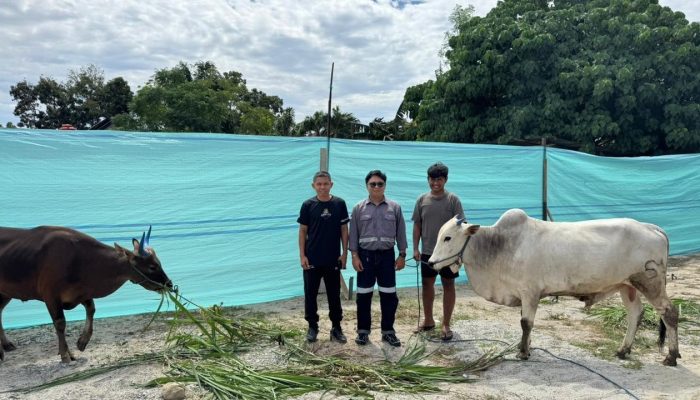 Trinusa Group Salurkan 30 Ekor Sapi Kurban di Morowali Utara hingga Kota Palu