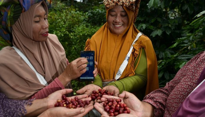 BRI Salurkan KUR Rp65,95 Triliun, Sektor Pertanian Jadi Prioritas