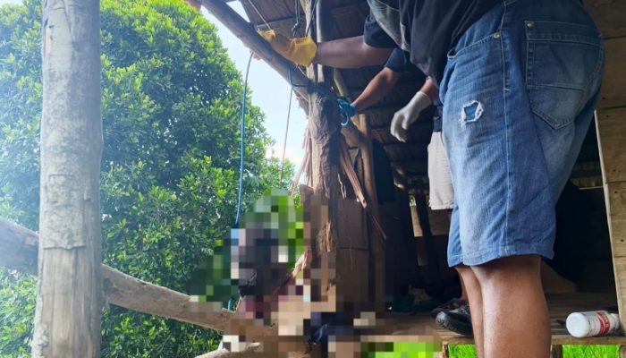 Sesosok Mayat Pria Ditemukan Tergantung Membusuk di Pondok Kebun Desa Lobu Moutong