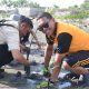 Polresta Palu Tanam 1.000 Mangrove di Pantai Dupa, Dukung Pelestarian Pesisir