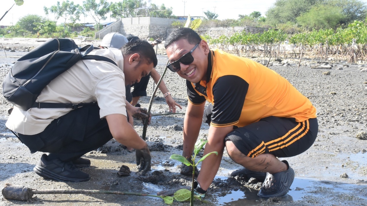 Polresta Palu Tanam 1.000 Mangrove di Pantai Dupa, Dukung Pelestarian Pesisir