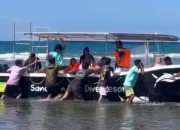 11 Wisatawan Asing dan Kru Kapal yang Hilang di Perairan Teluk Tomini Ditemukan Selamat, Satu Orang Masih Dicari