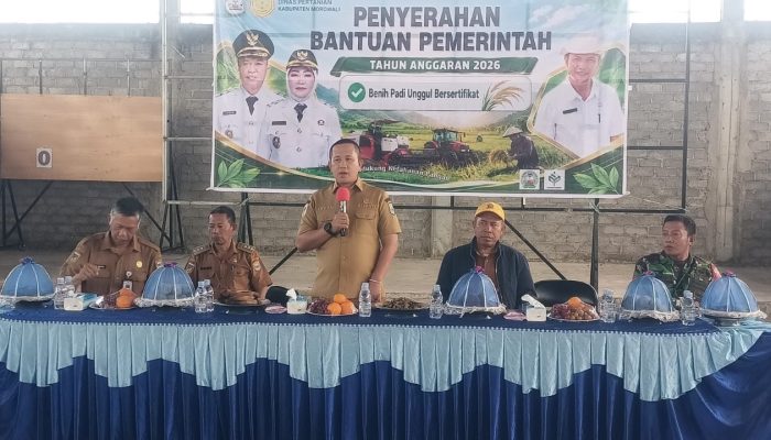 Bupati Morowali Salurkan Benih Padi Unggul untuk Petani Lembo Makmur, Perkuat Produktivitas Petani dan Ketahanan Pangan