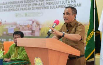 Anwar Hafid Prioritaskan Program Berani Panen Raya, Target Produktivitas Padi Sulteng Naik 6 Ton per Hektare