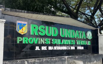 Jasa Pelayanan Tenaga Kesehatan, Masalah yang Tak Berujung di RSUD Undata