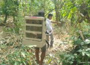 ITB Kembangkan Ransel Cerdas untuk Persemaian Rotan di Sulawesi Tengah