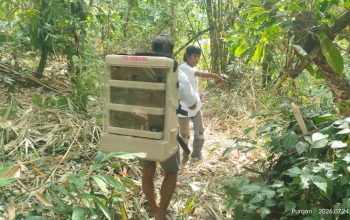 ITB Kembangkan Ransel Cerdas untuk Persemaian Rotan di Sulawesi Tengah