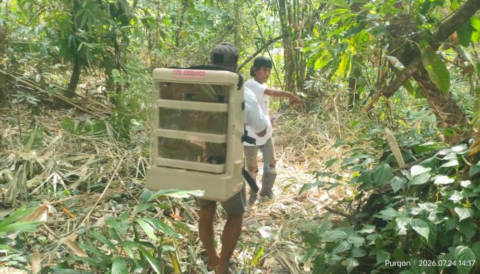 ITB Kembangkan Ransel Cerdas untuk Persemaian Rotan di Sulawesi Tengah