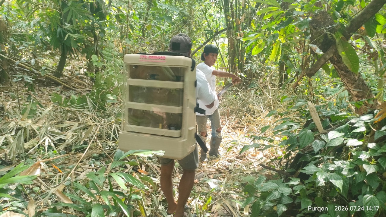 ITB Kembangkan Ransel Cerdas untuk Persemaian Rotan di Sulawesi Tengah