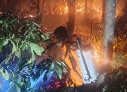 Tiga Titik Karhutla di Siuna Banggai Hanguskan Satu Hektare Kebun Jati Warga