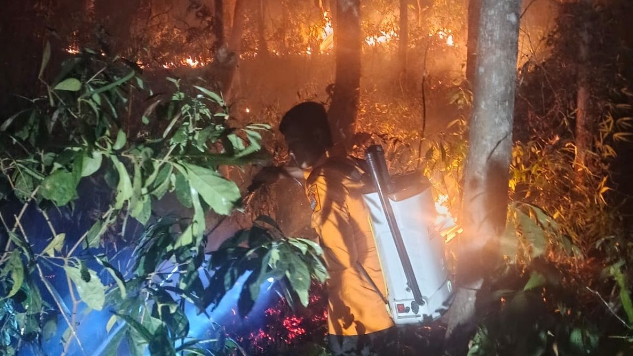Tiga Titik Karhutla di Siuna Banggai Hanguskan Satu Hektare Kebun Jati Warga