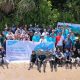 PT Vale Tanam 50 Mangrove dan Transplantasi 200 Lamun di Pesisir Luwu Timur