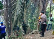 Kebakaran Lahan di Sigi Meluas ke Hutan Pinus, 10 Hektare Terdampak