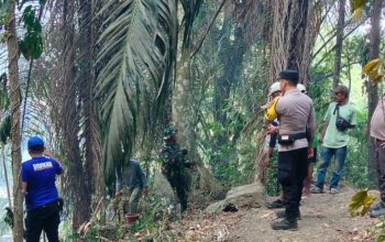 Kebakaran Lahan di Sigi Meluas ke Hutan Pinus, 10 Hektare Terdampak