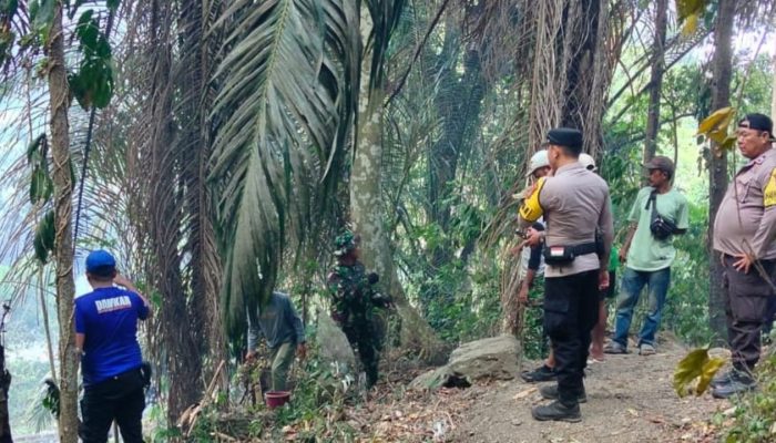 Kebakaran Lahan di Sigi Meluas ke Hutan Pinus, 10 Hektare Terdampak