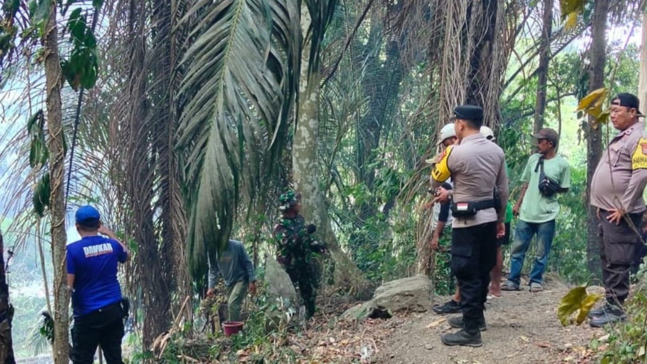 Kebakaran Lahan di Sigi Meluas ke Hutan Pinus, 10 Hektare Terdampak
