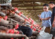 UMKM Masih Ekspansif, Indeks Bisnis BRI Tembus 102,1 pada Q2 2026