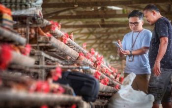 UMKM Masih Ekspansif, Indeks Bisnis BRI Tembus 102,1 pada Q2 2026