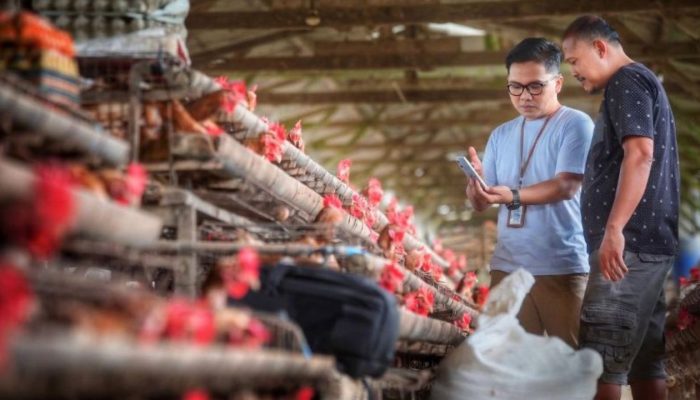 UMKM Masih Ekspansif, Indeks Bisnis BRI Tembus 102,1 pada Q2 2026