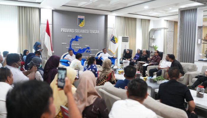Temui Gubernur Anwar Hafid, PPPK Nakes Sulteng Bahas Kejelasan Status Kepegawaian
