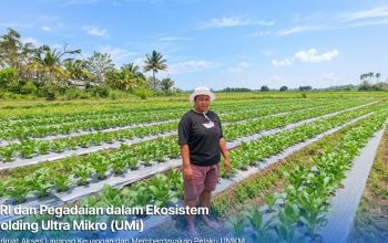 KUR BRI Bantu Petani Perempuan di Merauke Perluas Sawah Jadi 3 Hektare