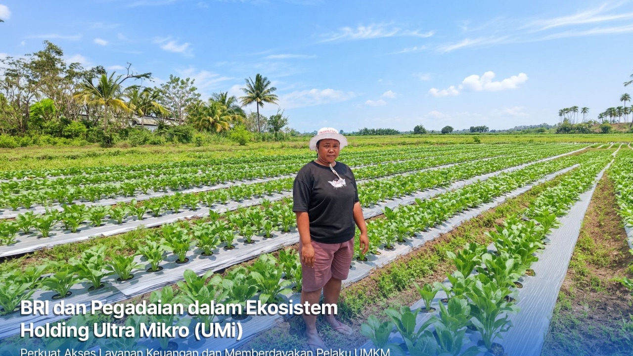 KUR BRI Bantu Petani Perempuan di Merauke Perluas Sawah Jadi 3 Hektare