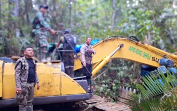 Tim Gabungan Temukan Tiga Alat Berat Diduga Digunakan untuk Aktivitas Pertambangan Ilegal di Kabupaten Poso