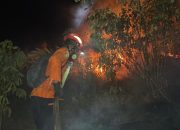 Basarnas Kerahkan Personel Tangani Karhutla di Sibualong Donggala