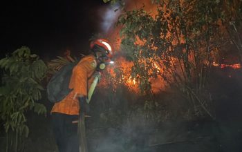 Basarnas Kerahkan Personel Tangani Karhutla di Sibualong Donggala
