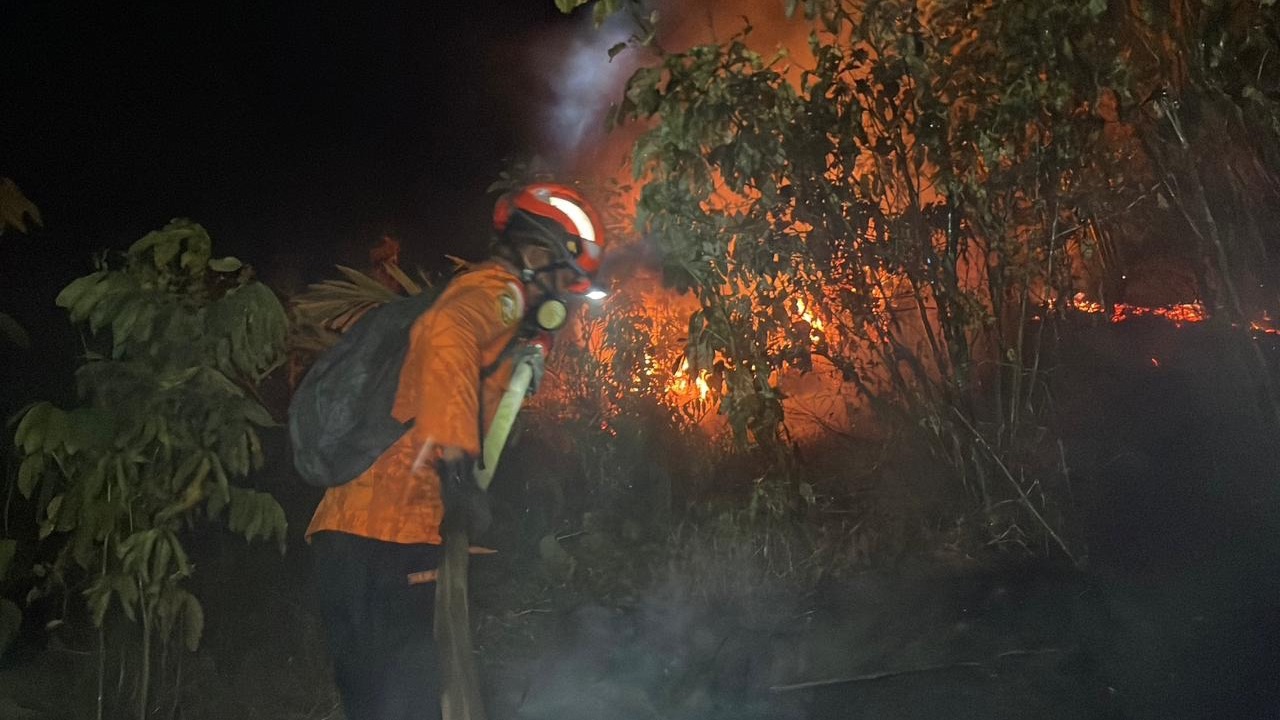 Basarnas Kerahkan Personel Tangani Karhutla di Sibualong Donggala