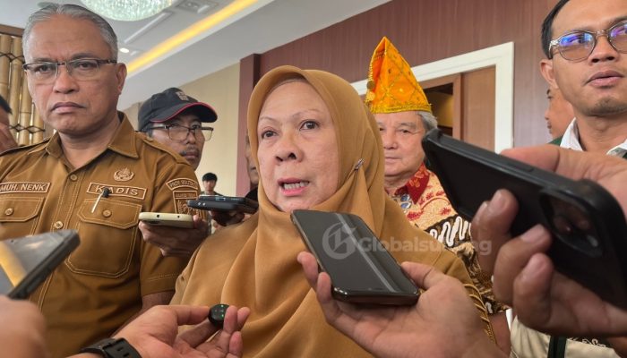 Wagub Sulteng Ancam Sanksi Perusahaan Tambang Tanpa Fasilitas Kesehatan