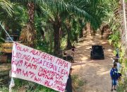 JATAM Sulteng Minta Pemerintah Turun Tangan Buntut Lima Alat Berat Beroperasi di Lokasi Tambang Ilegal Desa Labonu