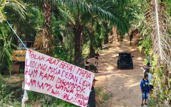 JATAM Sulteng Minta Pemerintah Turun Tangan Buntut Lima Alat Berat Beroperasi di Lokasi Tambang Ilegal Desa Labonu