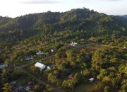 Dikepung Tambang Nikel, Habitat Satwa Endemik Sulawesi di Bualemo Banggai dalam Ancaman