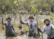 Kalla Toyota Tanam 43 Ribu Mangrove di Pangkep untuk Pulihkan Pesisir