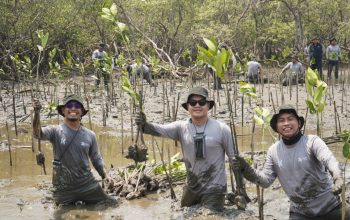 Kalla Toyota Tanam 43 Ribu Mangrove di Pangkep untuk Pulihkan Pesisir