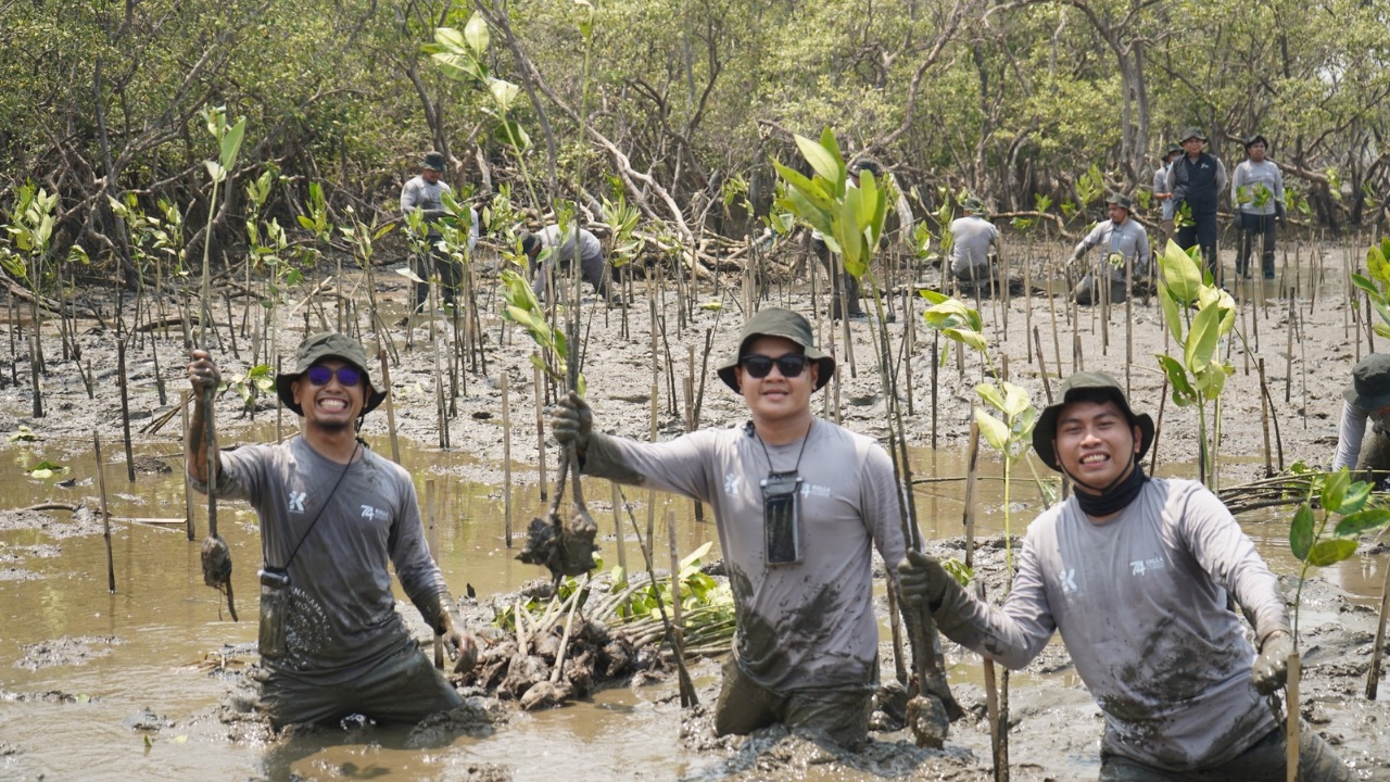 Kalla Toyota Tanam 43 Ribu Mangrove di Pangkep untuk Pulihkan Pesisir