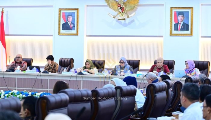 Wagub Sulteng Minta Pusat Bantu Renovasi Puskesmas dan Pemerataan Dokter Spesialis