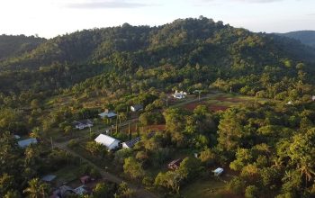 Dikepung Tambang Nikel, Habitat Satwa Endemik Sulawesi di Bualemo Banggai dalam Ancaman