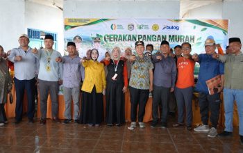 Bupati Morowali Iksan Baharudin Tinjau Gerakan Pangan Murah di Menui Kepulauan