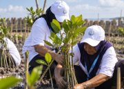 BRI Tanam 30 Ribu Mangrove di Demak, Sampah Plastik Diolah Jadi Pemecah Ombak