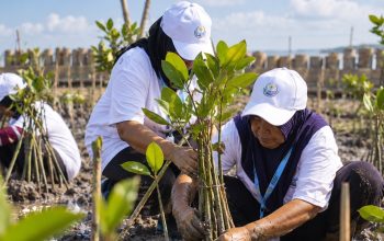BRI Tanam 30 Ribu Mangrove di Demak, Sampah Plastik Diolah Jadi Pemecah Ombak
