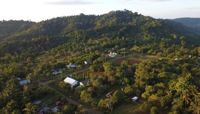 Dikepung Tambang Nikel, Habitat Satwa Endemik Sulawesi di Bualemo Banggai dalam Ancaman