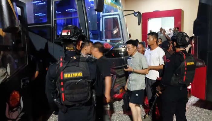 75 WNA Diperiksa Polisi Pasca Konflik Antara PT Askon dan Aliansi Masyarakat Matarape