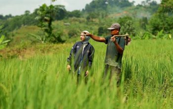 KUR BRI Tembus Rp144,59 Triliun, Sektor Pertanian Serap Porsi Terbesar