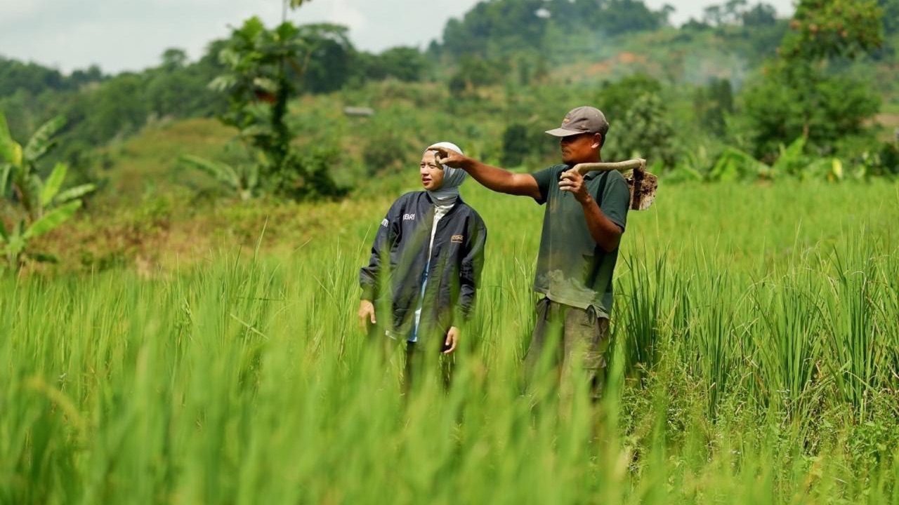KUR BRI Tembus Rp144,59 Triliun, Sektor Pertanian Serap Porsi Terbesar
