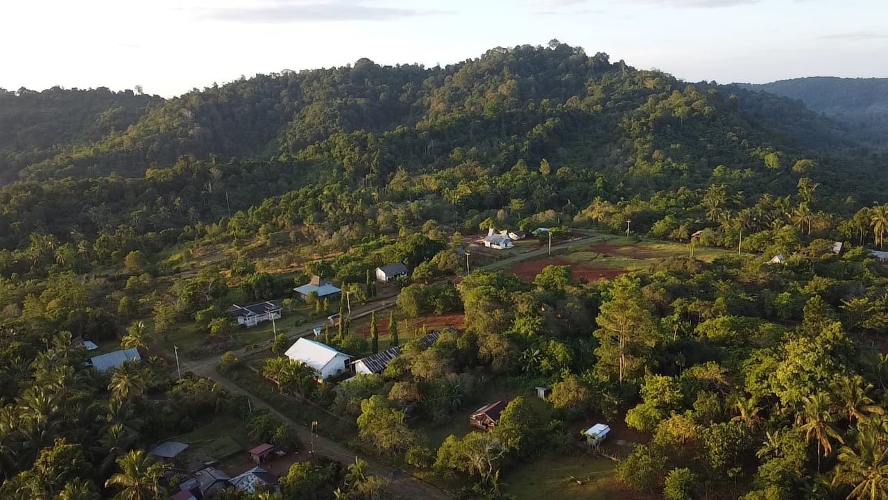 Dikepung Tambang Nikel, Habitat Satwa Endemik Sulawesi di Bualemo Banggai dalam Ancaman